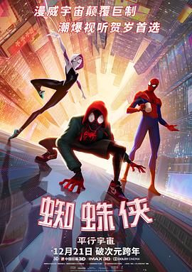 蜘蛛侠：平行宇宙 Spider-Man: Into the Spider-Verse